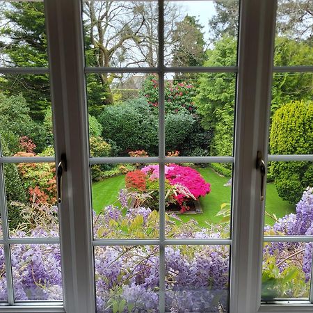 Little Robin Gate - Free Parking - Central - 10 Min Walk To Train Station Bournemouth Buitenkant foto
