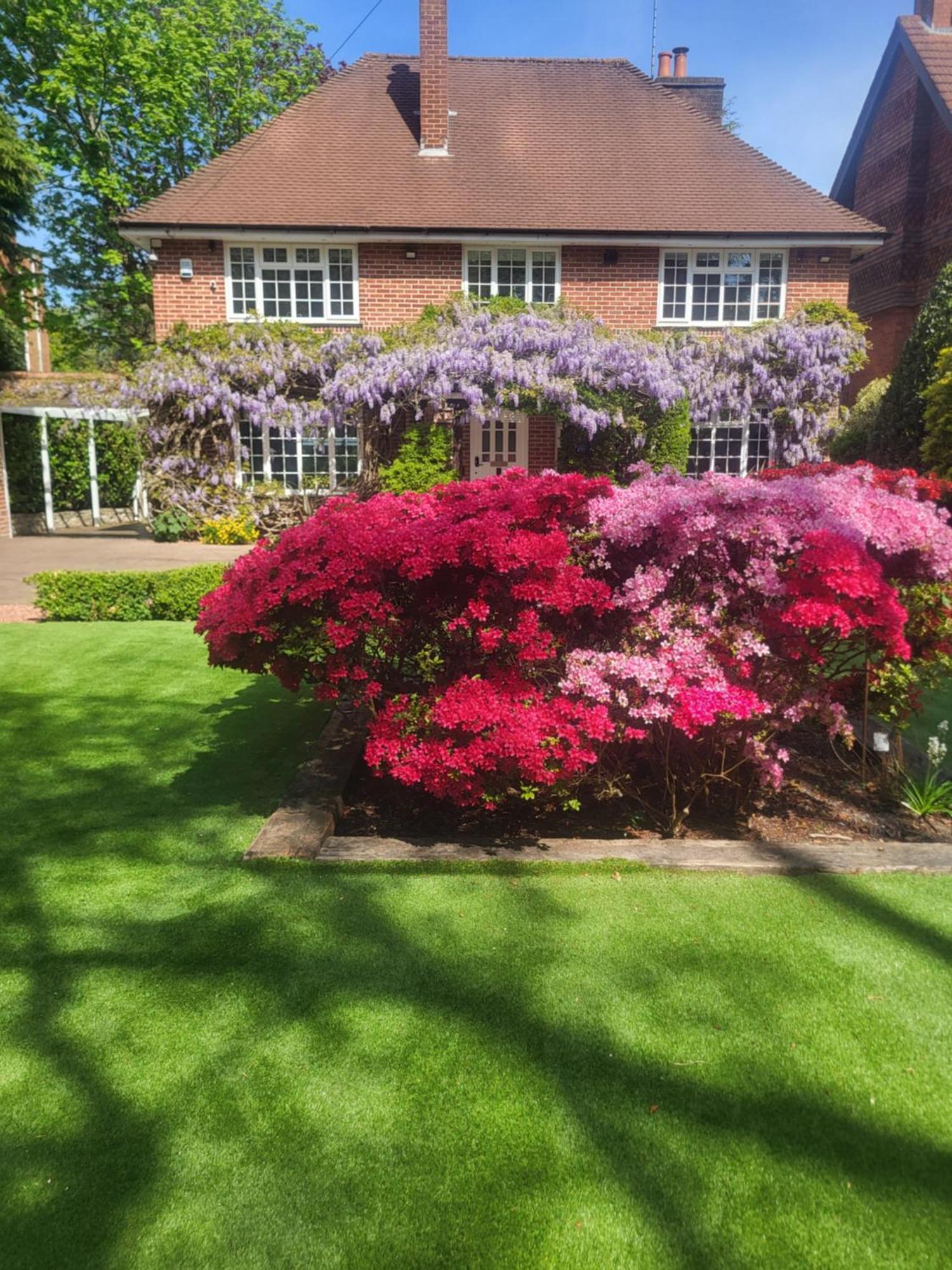 Little Robin Gate - Free Parking - Central - 10 Min Walk To Train Station Bournemouth Buitenkant foto